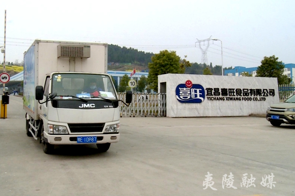 3月13日一大早,宜昌喜旺食品有限公司的配送员李强将一盒盒新鲜乳制品
