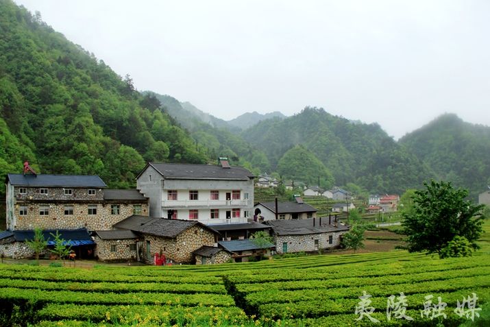 下堡坪乡九山村满眼皆是绿满目皆是净