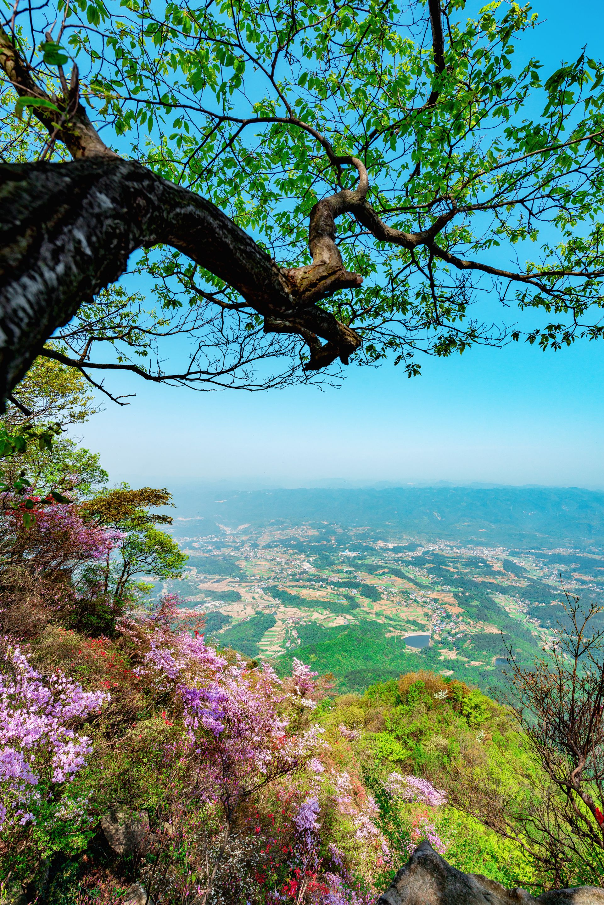 柏家坪我的美丽家乡