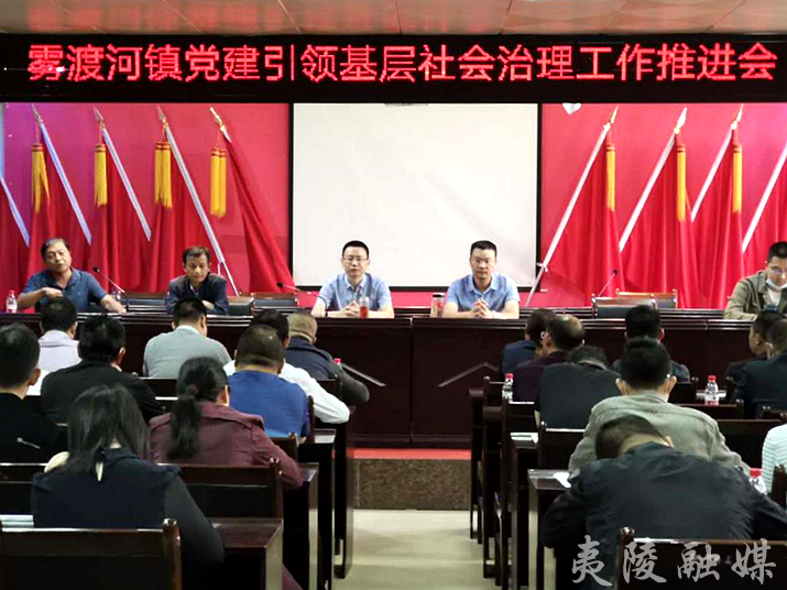 夷陵区雾渡河镇推进党建引领基层社会治理工作