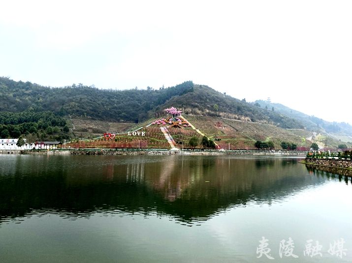 花花世界热带雨林三峡龙泉湖邀你来打卡