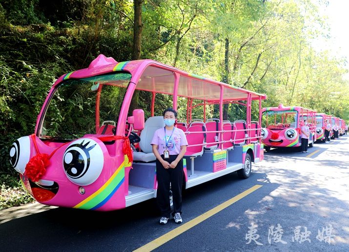 三峡大瀑布旅游区与宇通公司合作,引进了这批观光车,共同助力景区高