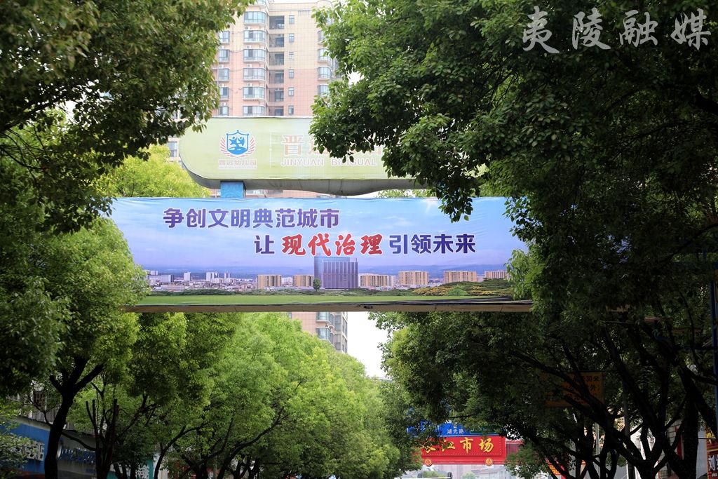 夷陵城区新增一批大型t牌公益广告