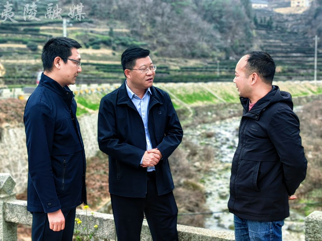 郑书香先后前往三峡中药材产业园,蛟龙寺村,十八湾村,赵勉河村,秀水村