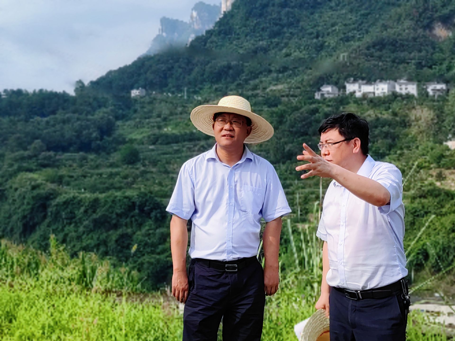 郑书香先后考察了东方阳光研学营地,路溪坪村知青点,莲沱"827,下岸溪