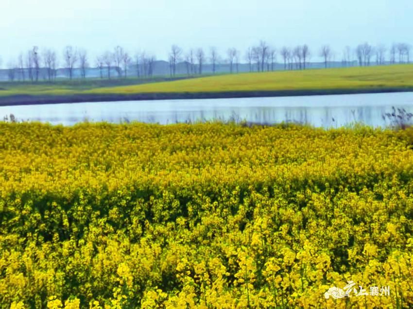 黄集镇位于鄂豫两省交界处,素有"襄阳北大门"之称,是湖北省重点边贸