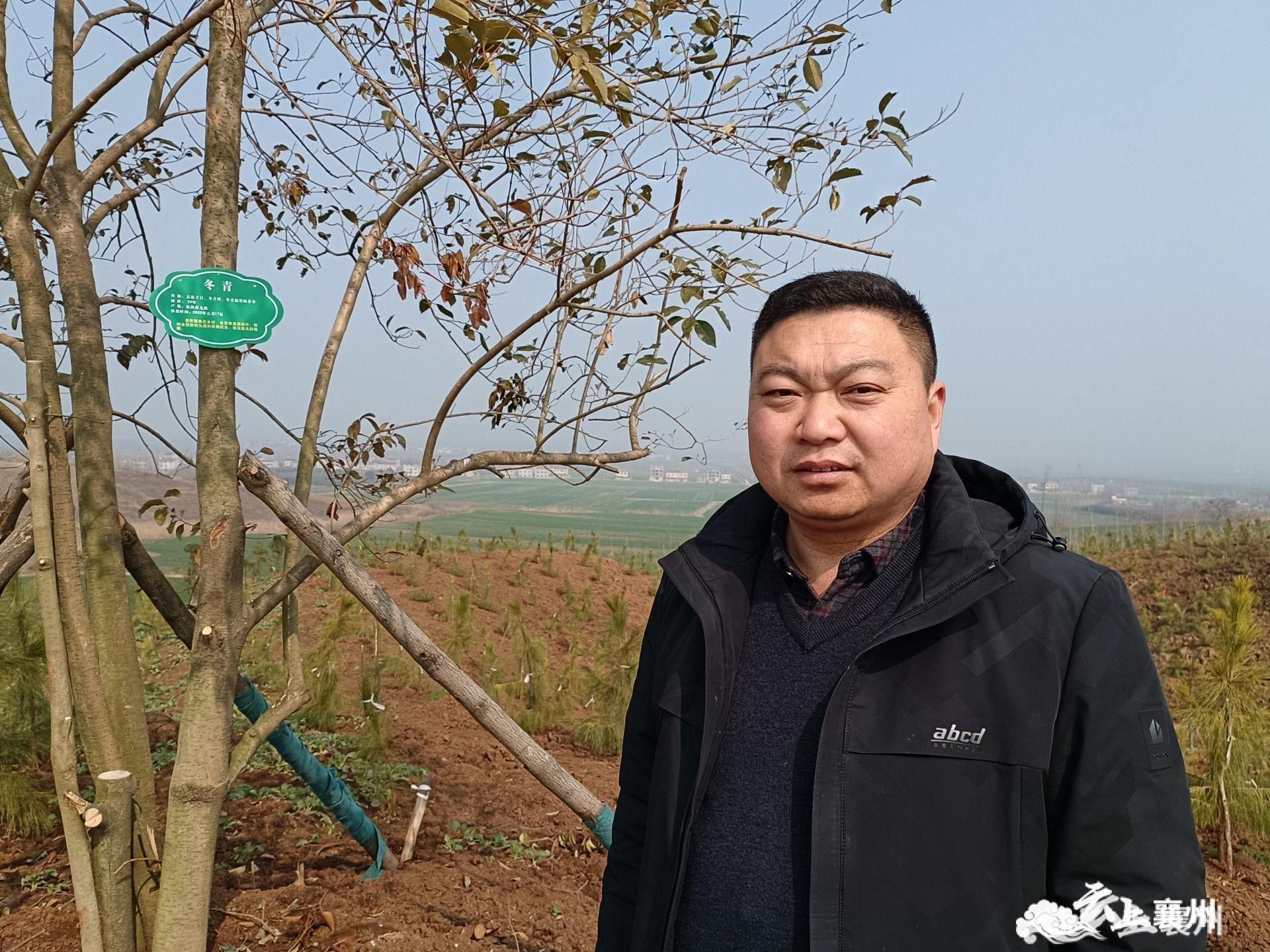 在张伙村一处荒山,一片片新栽种的湿地松,香樟等树木郁郁葱葱,绿意