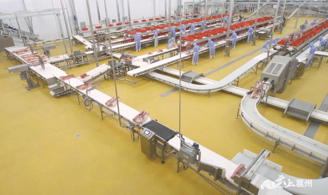 公司,胡勇现场察看牲猪屠宰生产线,熟食生产线以及系列创新特色食品