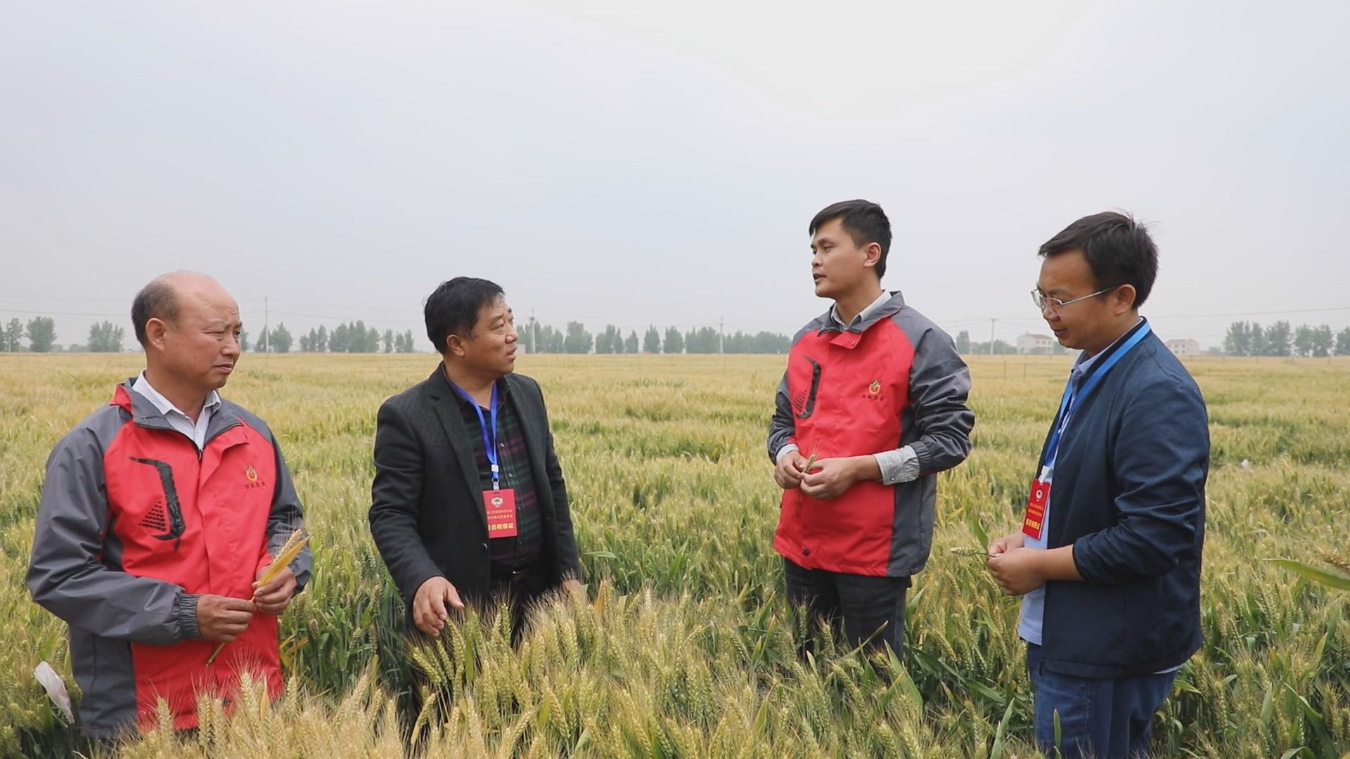 为种业拥有更多中国芯贡献襄州力量