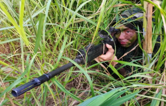 网瘾少年→特种兵狙击手→立战功→保送提干