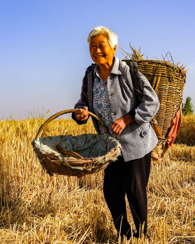 庆丰收迎盛会襄州区2022年农民丰收节优秀摄影作品展