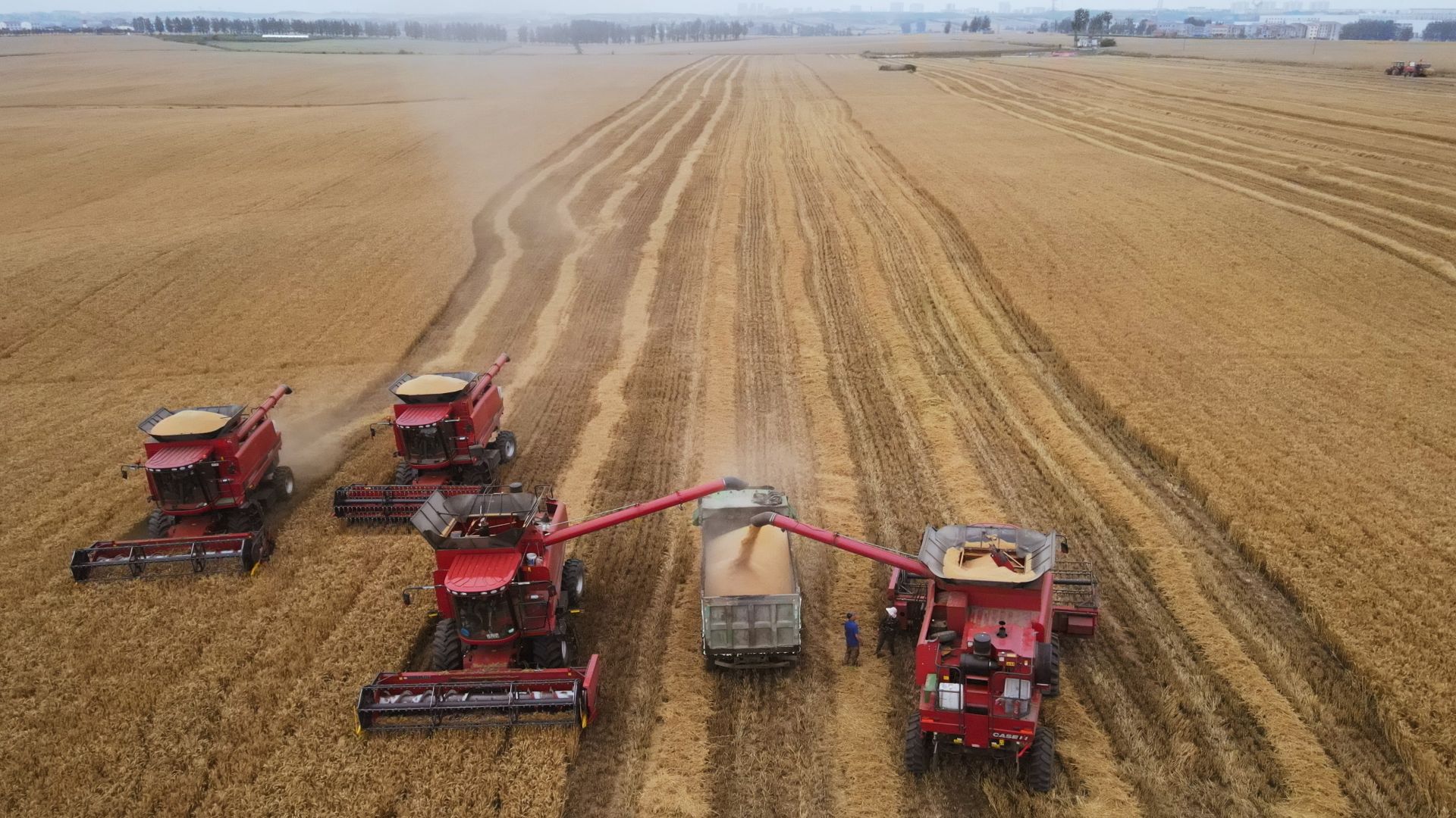 "襄阳绿谷丰现代农业种植专业合作社负责人马红光告诉记者,"小麦收割