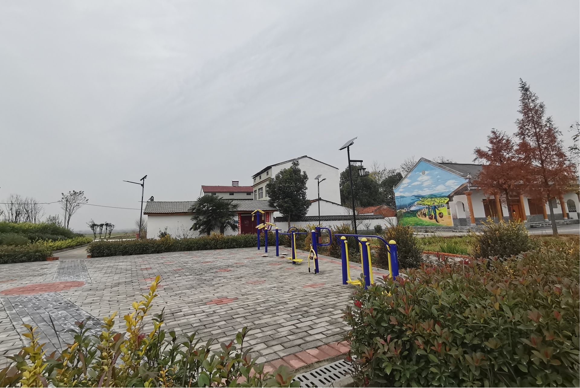 黄集镇:多举措提升生活垃圾治理水平_襄阳襄州网