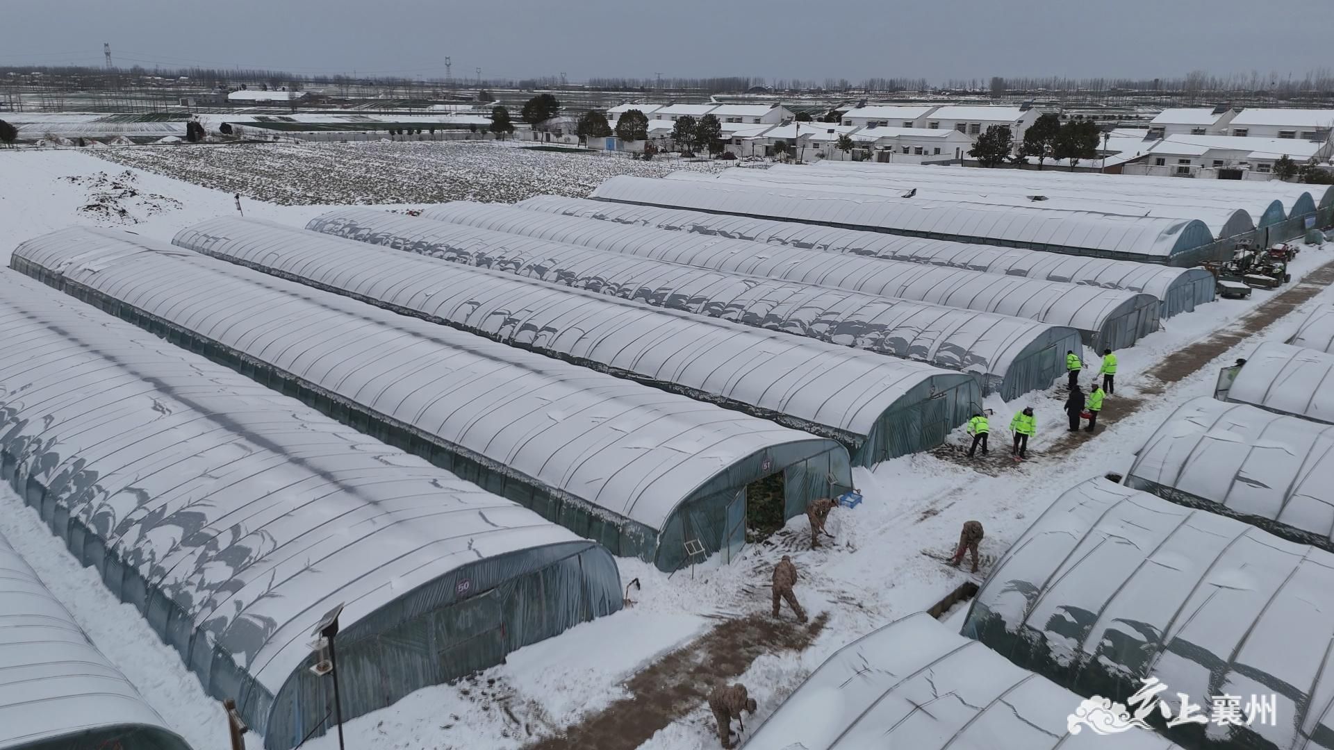 大棚防雪设计图片