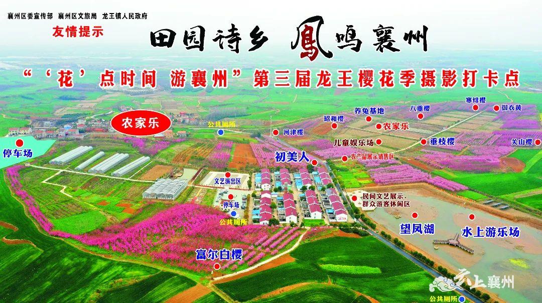 赏花攻略所有人明日龙王樱花等你来