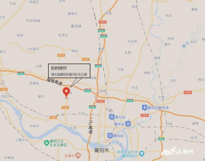 赏花攻略所有人明日龙王樱花等你来