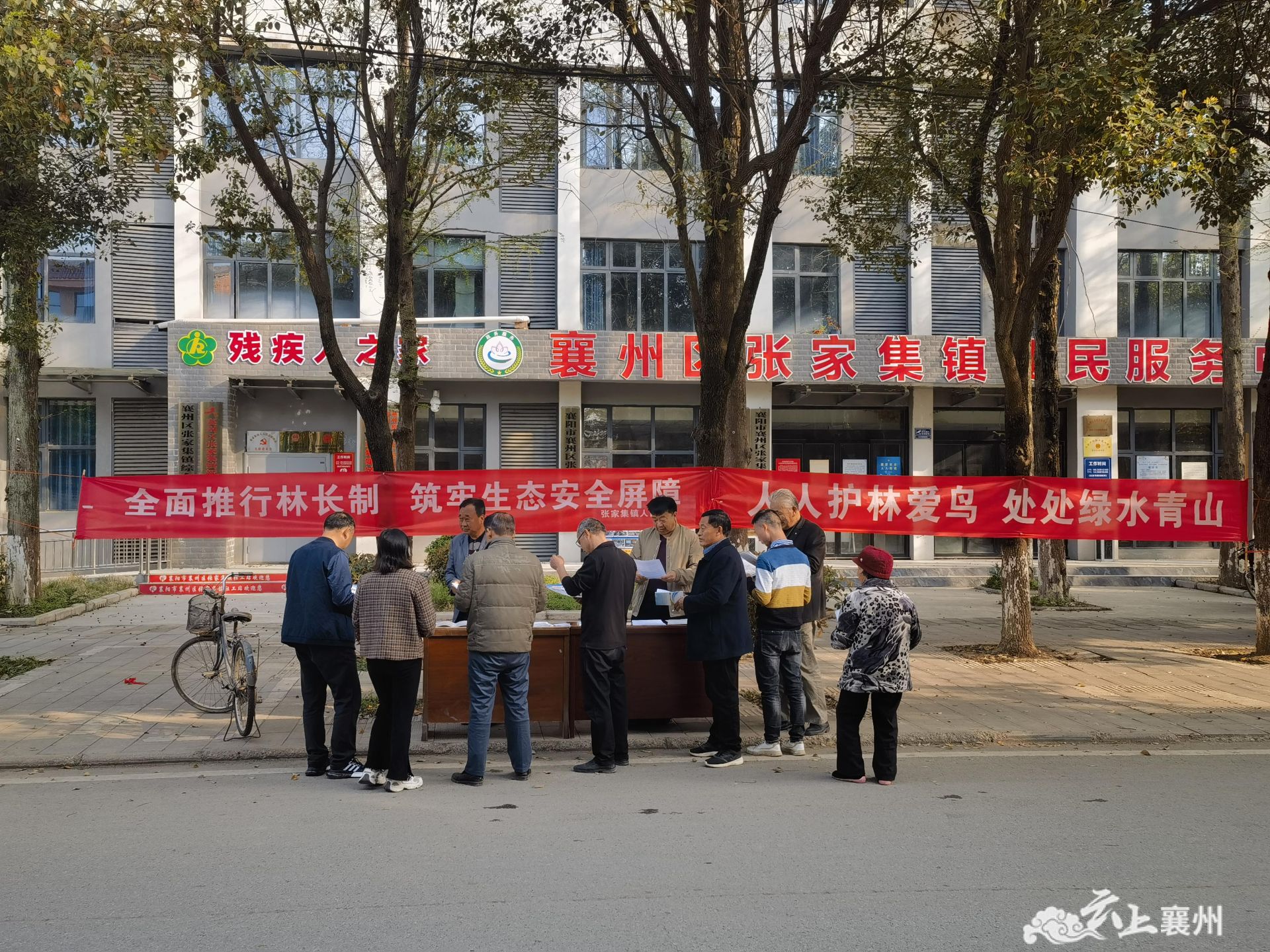 发挥人大代表作用,助"林长制"落地见效_襄阳襄州网