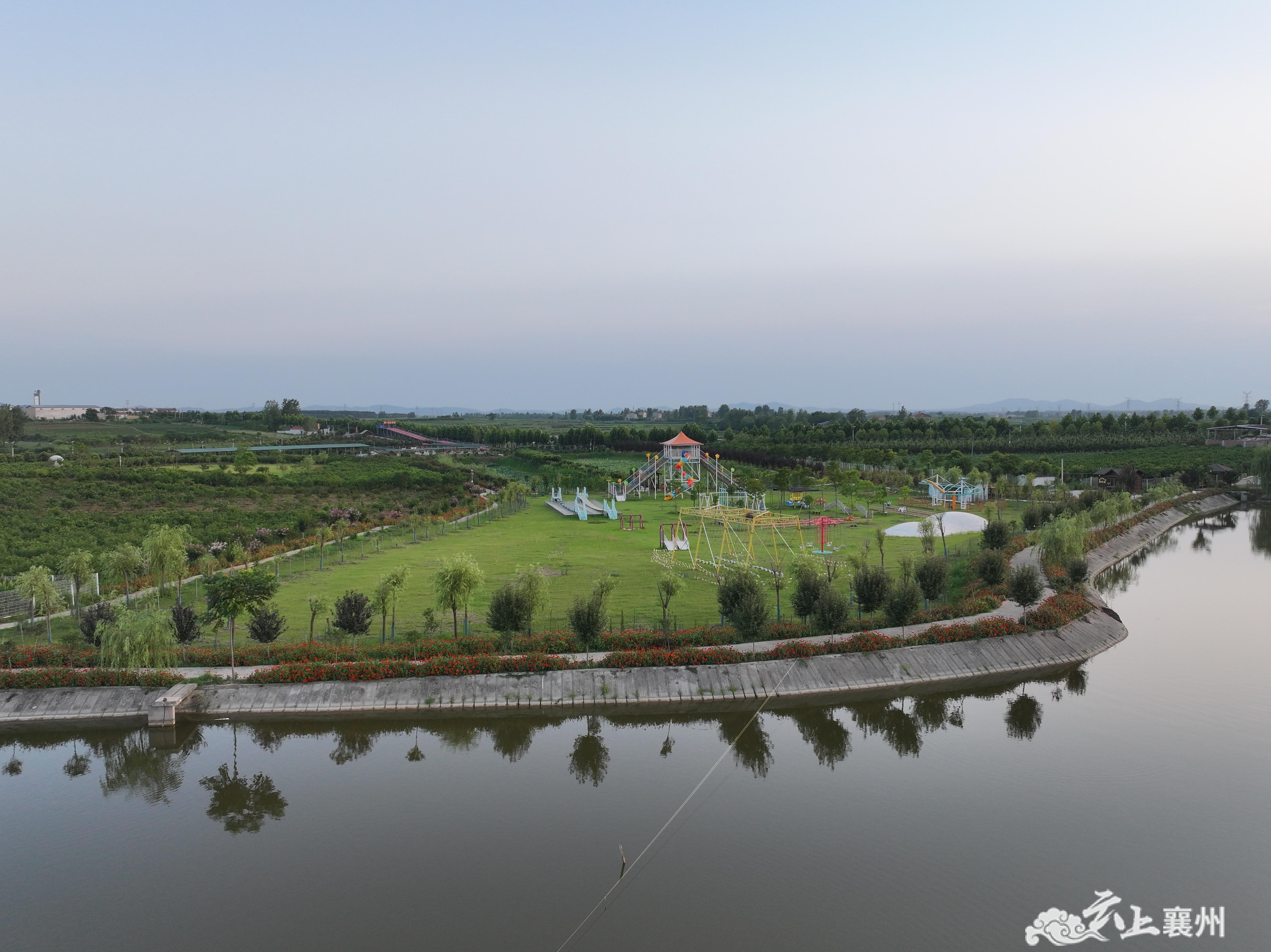 黄龙镇:百花齐放迎游客