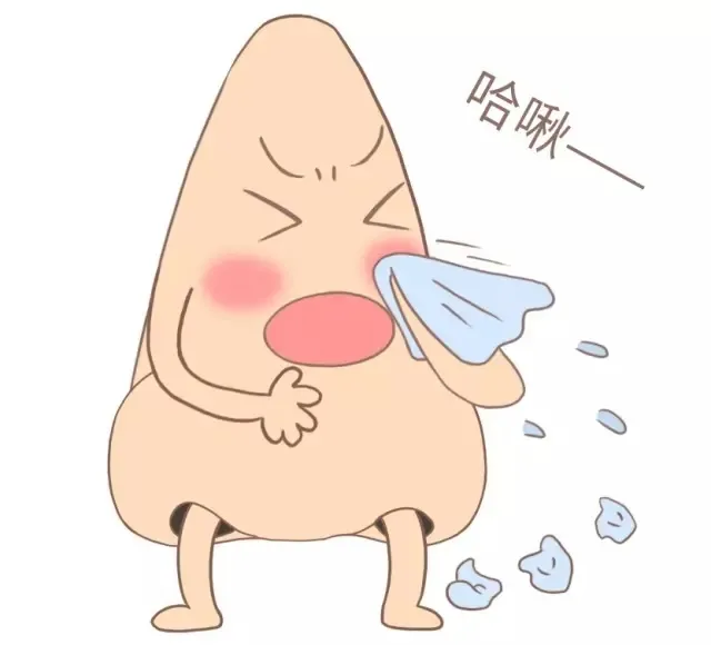 d40b80374bd83461114d3d177360e452_t04f451487e61366fb8.png