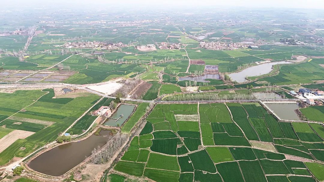 黄龙抗旱.jpg