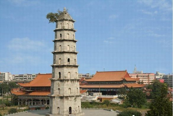 骆志勇到安国寺公园调研项目建设推进情况