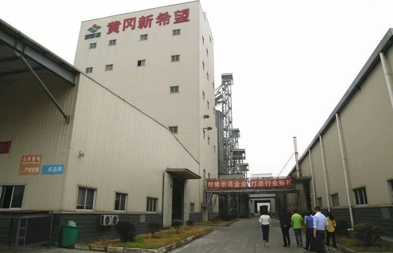 骆志勇先后到黄冈新希望饲料科技有限公司,海吉星农产品物流园,中粮