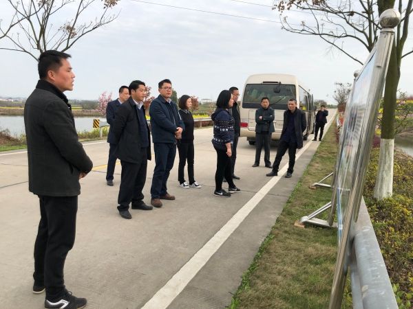 省交通运输厅考核组对黄州区陈策楼镇创建全省四好农村路示范乡镇工作
