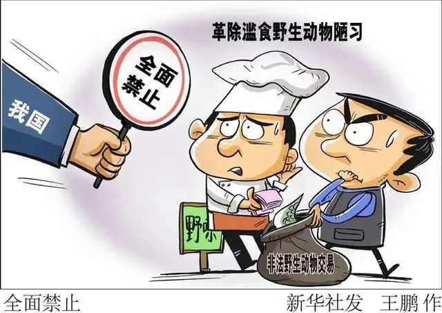 或者为食用非法购买国家重点保护的野生动物