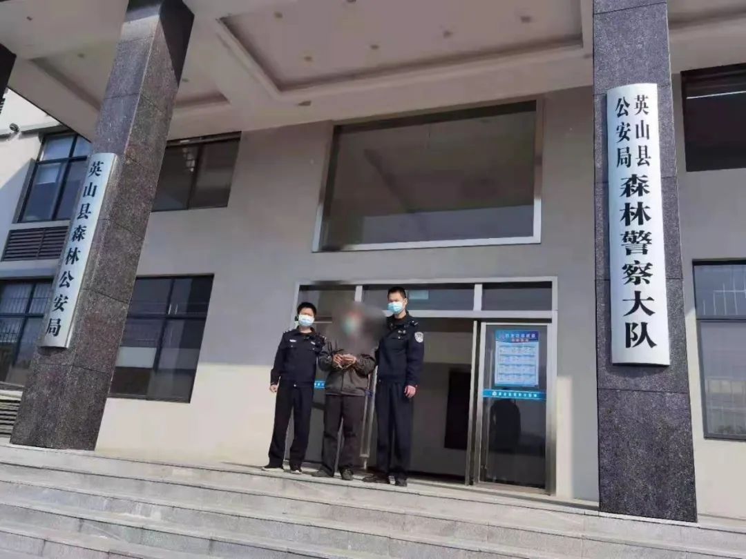 英山县公安局森林警察大队依法对其行政拘留5日.