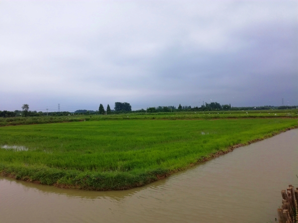 随孝南区委常委,统战部长张莉,来到朱湖农场重点贫困村—协和二生产队