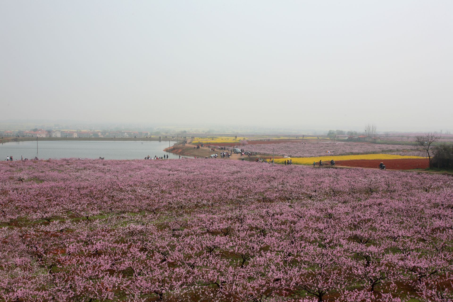 杨店镇三动做足农旅融合文章