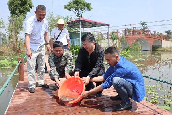 成员,副局长杨长林,西河镇党委委员,武装部长汪增光将一条身长72厘米