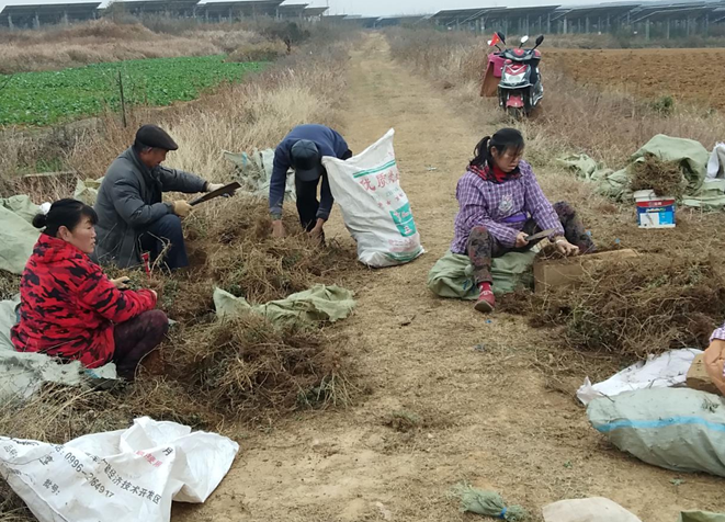 孝南祝站镇万青村的蜕变