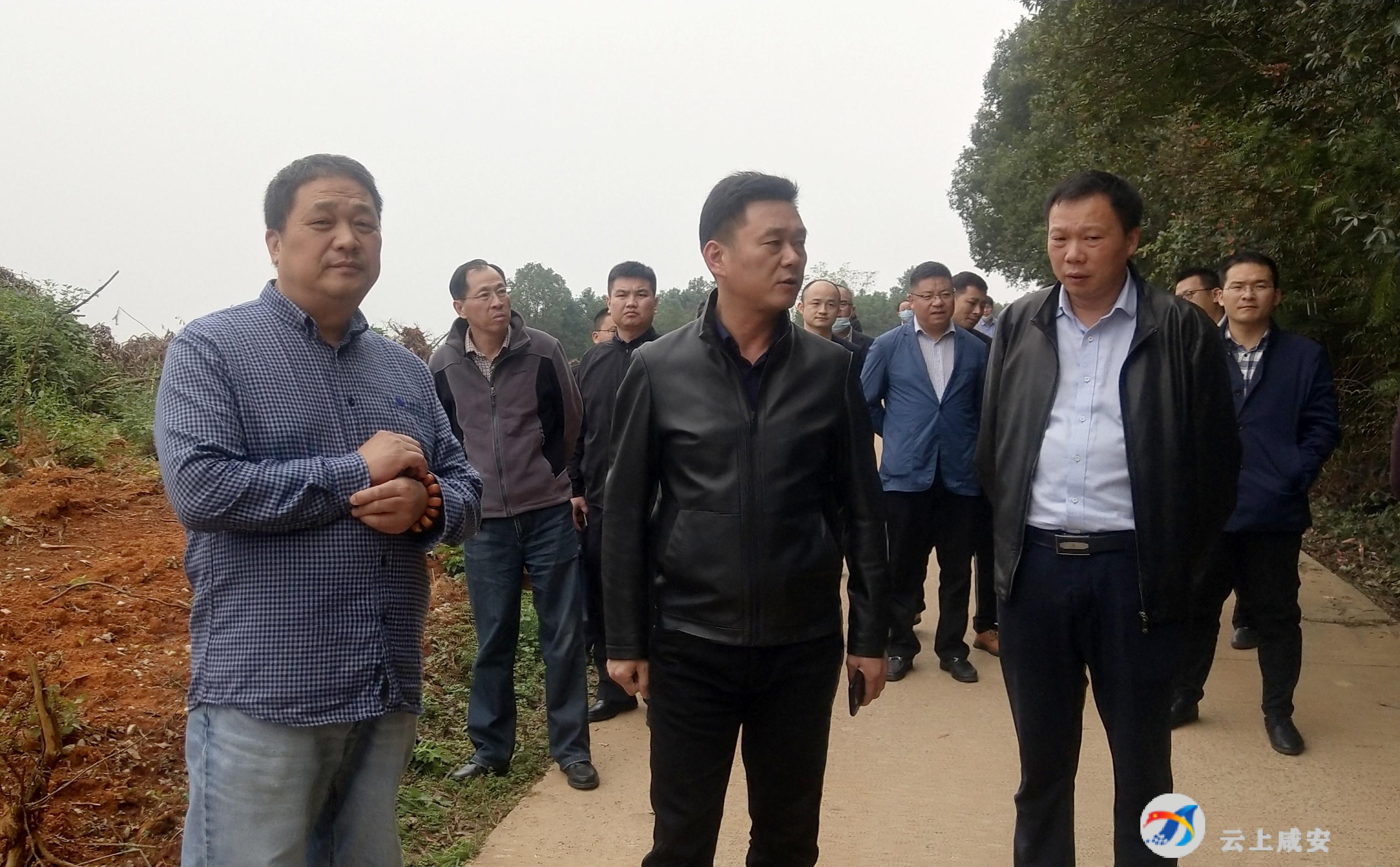 云上咸安报道(咸宁台记者:胡晓轩)10月20日,区委副书记,区长魏朝东到