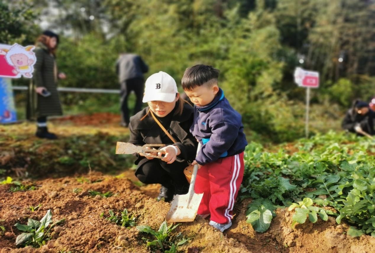 67快乐农场悦享成长咸安区中心幼儿园开展亲子快乐农场活动
