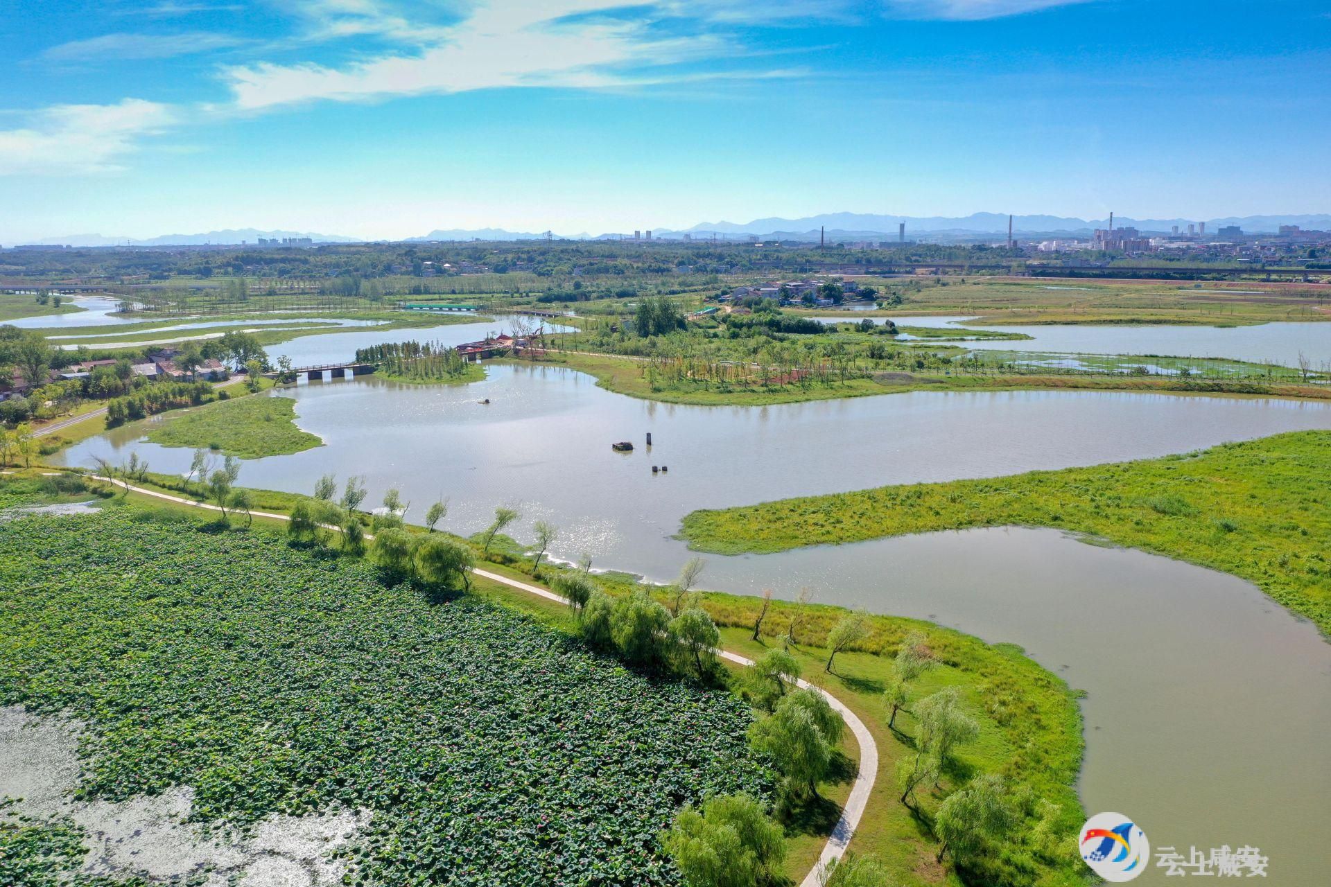 【大美咸安】大洲湖湿地公园_云上咸安