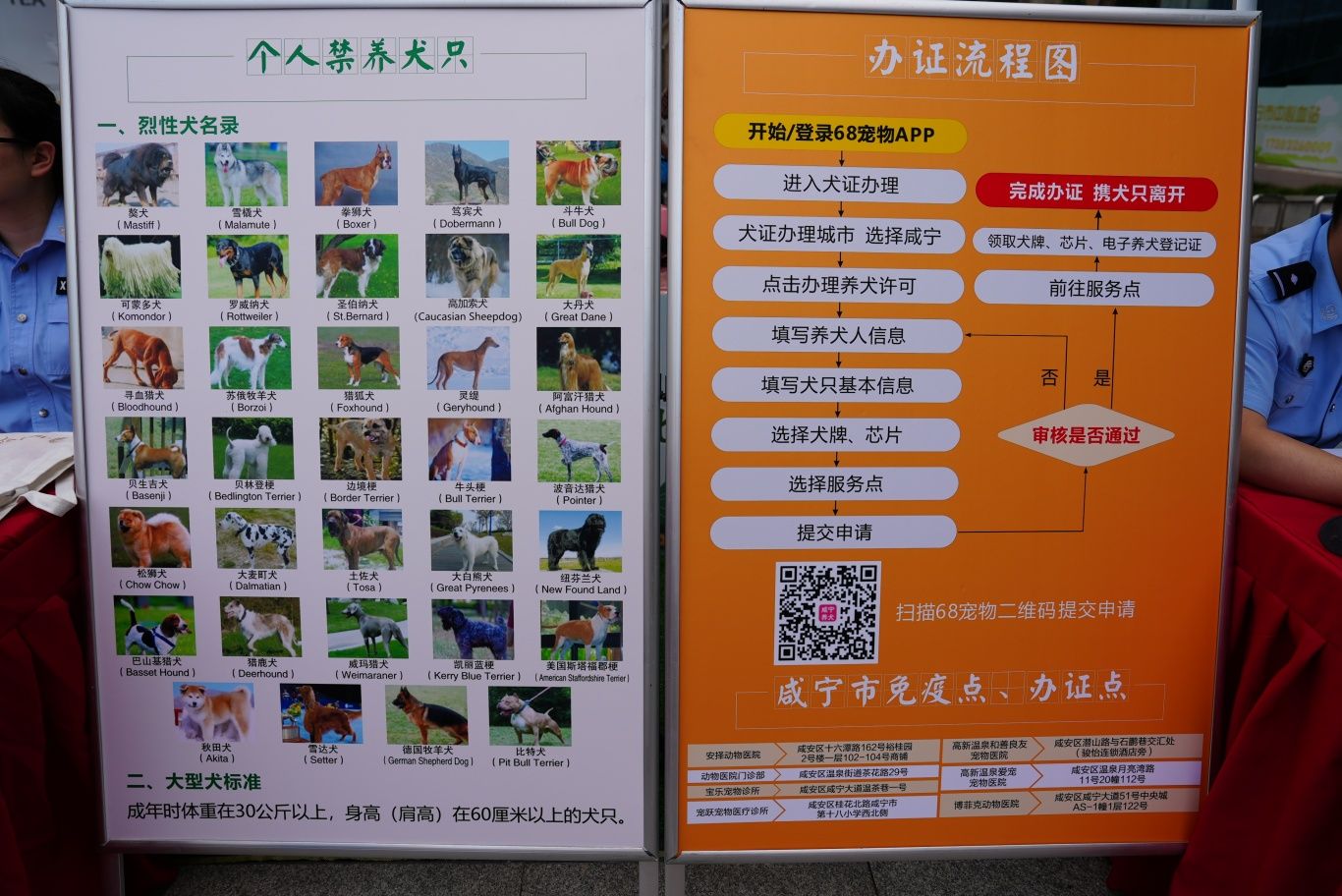 DSC07236.JPG