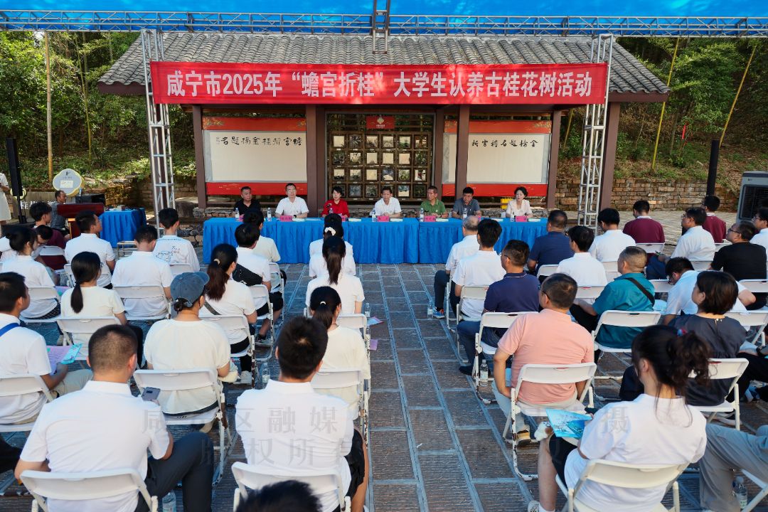 331be671c089cef127dc9dd979a227f8.jpg