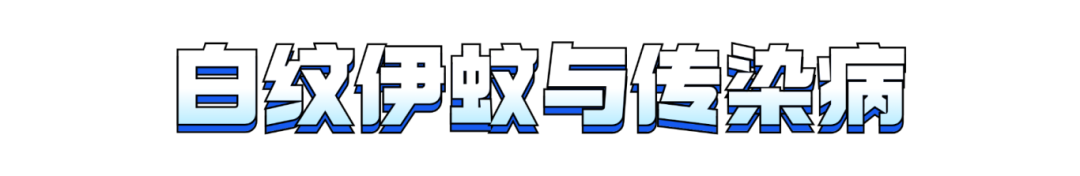02.png