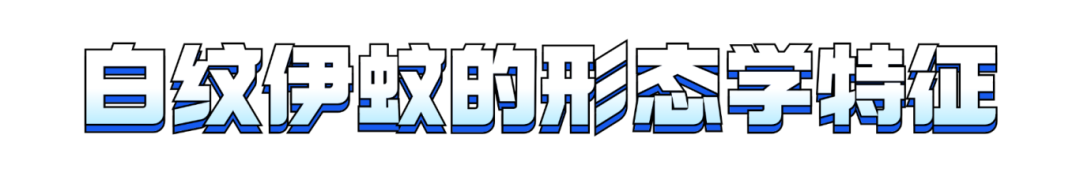 01.png