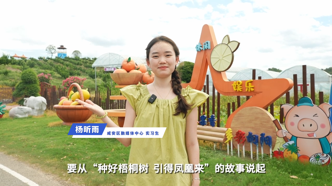 微信图片_20250902084919_42_661.png