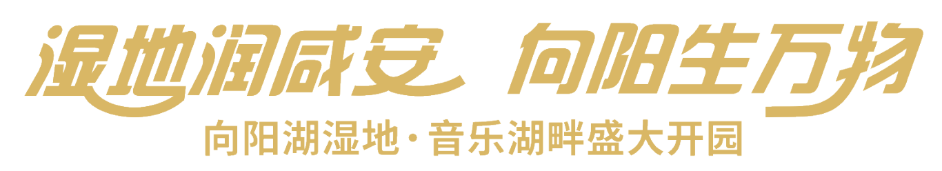 f02a3a4e950b0b42b8dc232bffa181c5.png