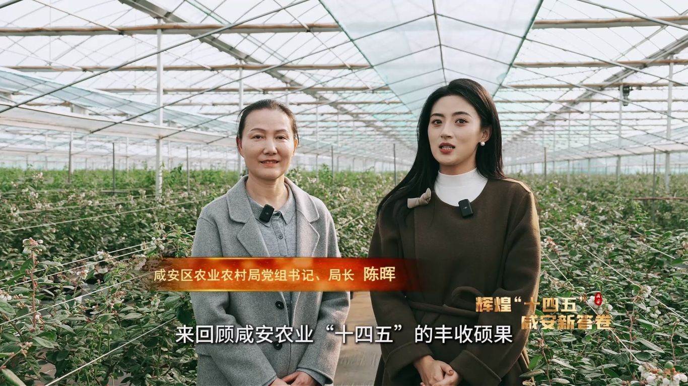 辉煌“十四五” 乡村振兴篇12.23.mp4_20251225_090239.942.jpg