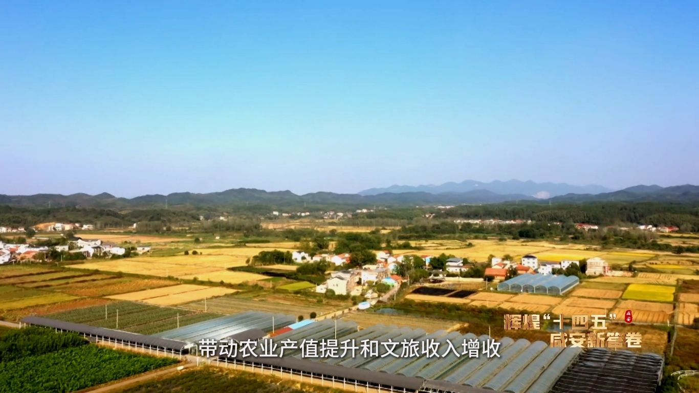 辉煌“十四五” 高桥镇(2).mp4_20251229_164649.615.jpg