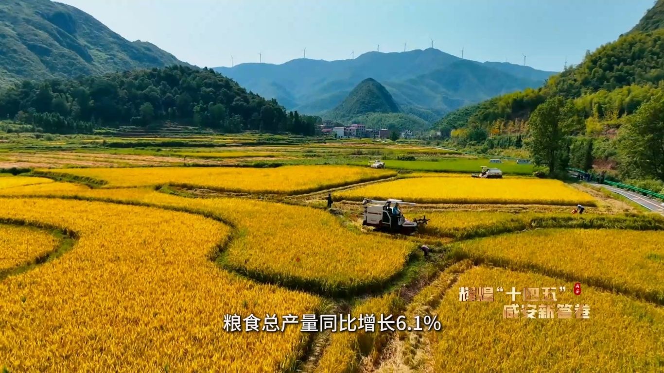 辉煌“十四五” 乡村振兴篇12.23.mp4_20251225_090341.576.jpg