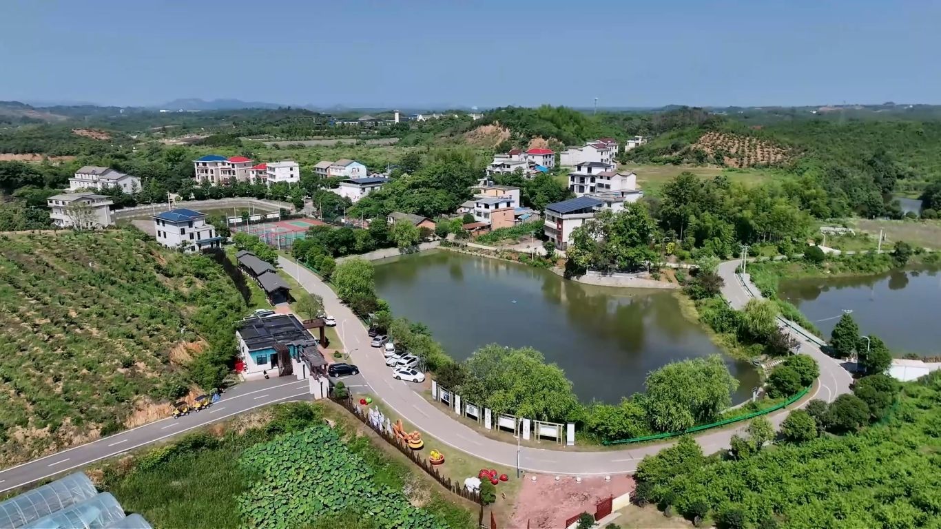 辉煌“十四五” 乡村振兴篇12.23.mp4_20251225_094237.707.jpg