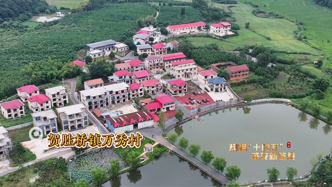 辉煌“十四五” 乡村振兴篇12.23.mp4_20251225_090532.405.jpg