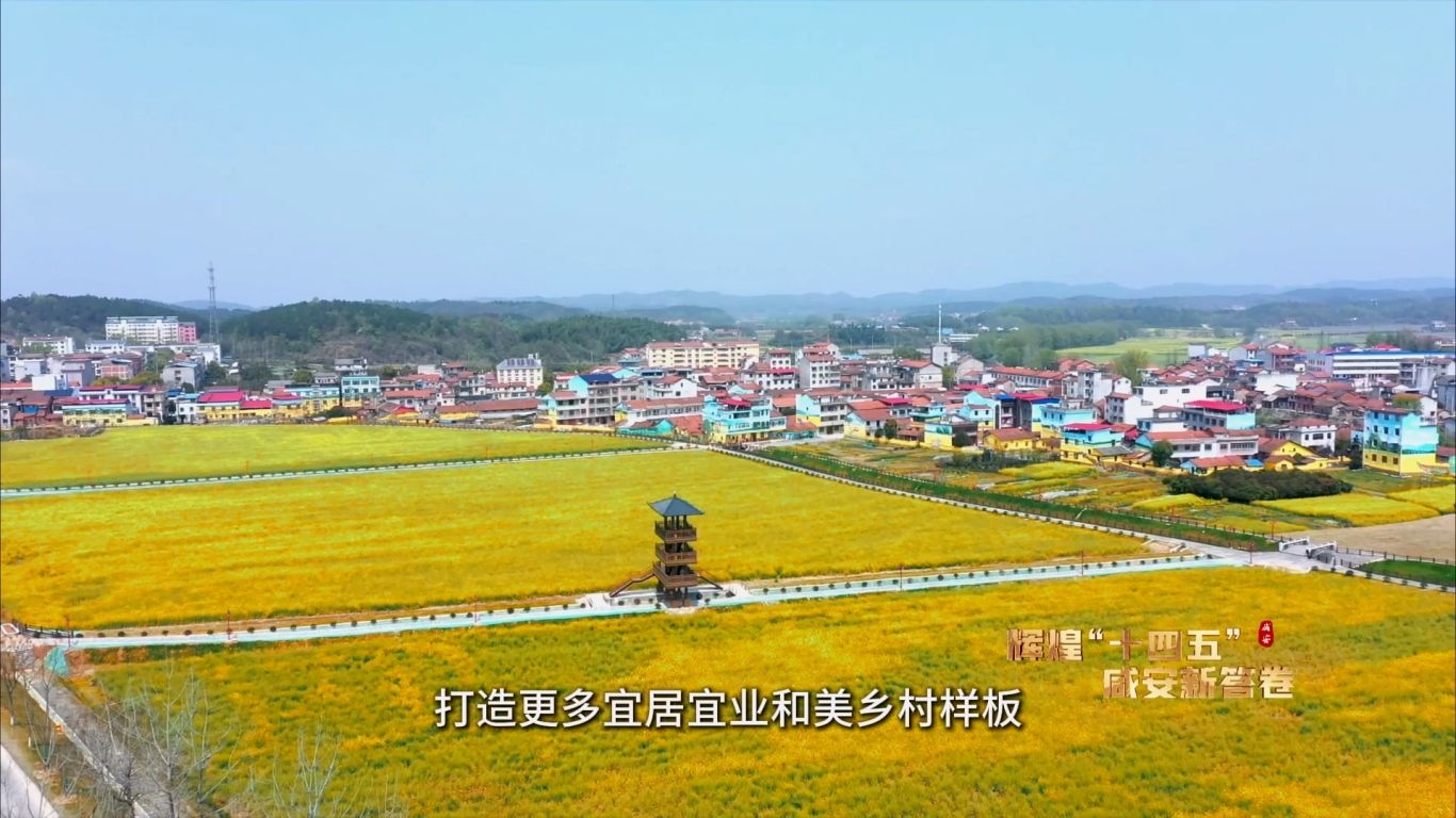 辉煌“十四五” 乡村振兴篇12.23.mp4_20251225_090905.648.jpg