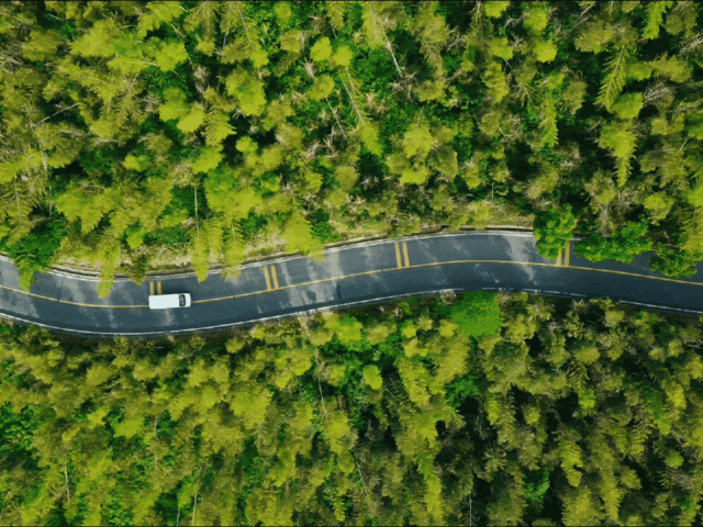 GIF_20260512_220311.gif
