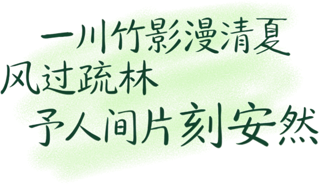 微信图片_20260512182533.png